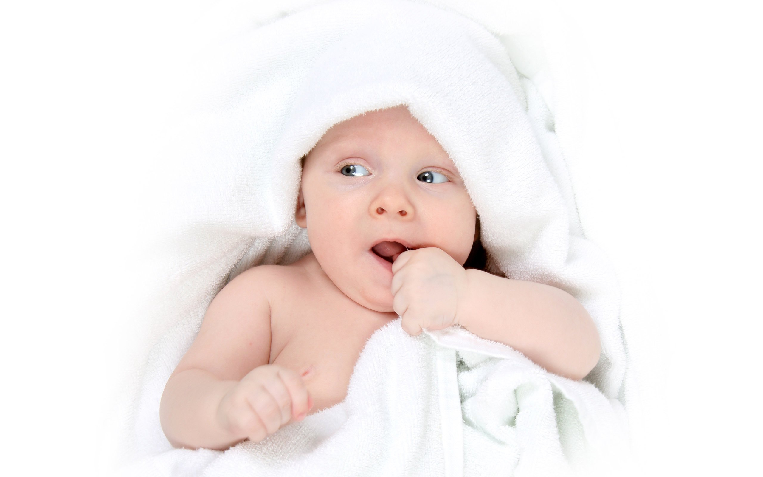 供卵助孕试管婴儿成功率世界排行榜